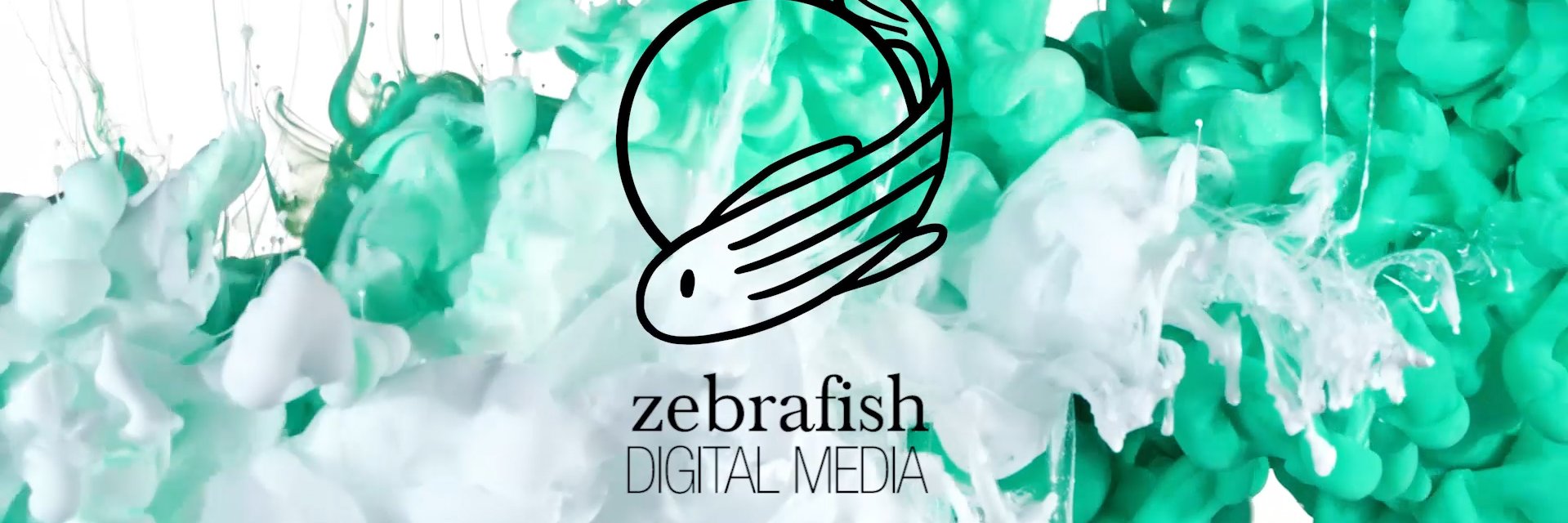 Zebrafishdm's profile banner image