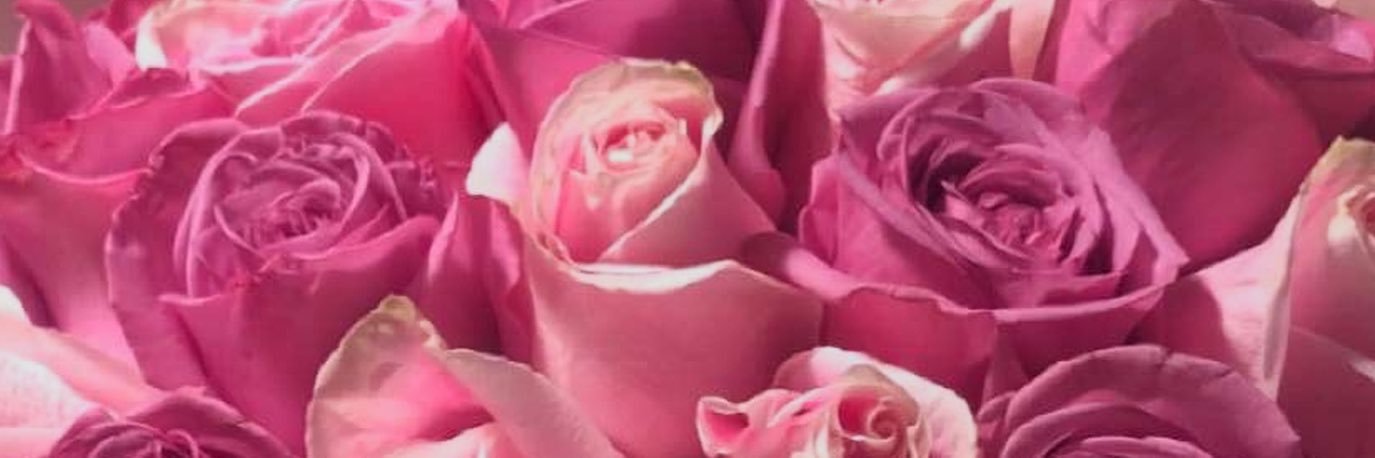 L_Bourisli's profile banner image