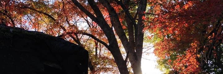 s807807's profile banner image