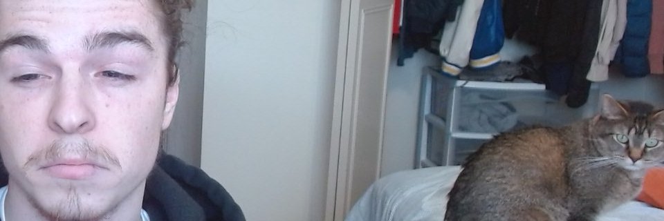 levi_ammy's profile banner image