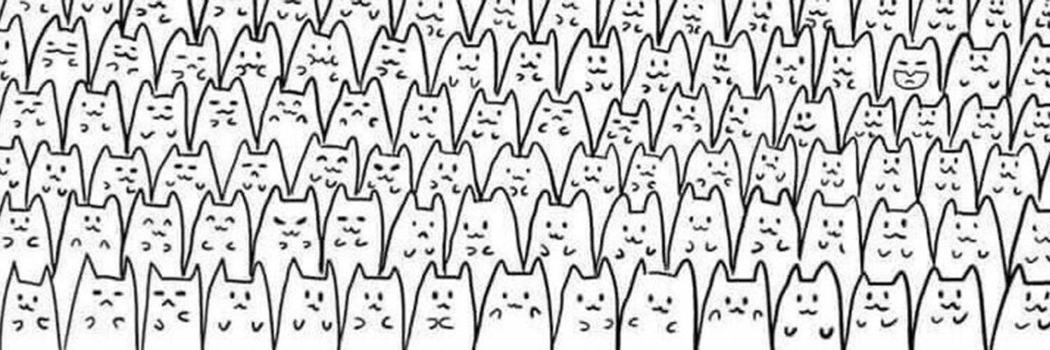 Naimzln's profile banner image
