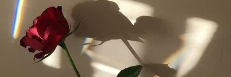 AnetaCackowska's profile banner image