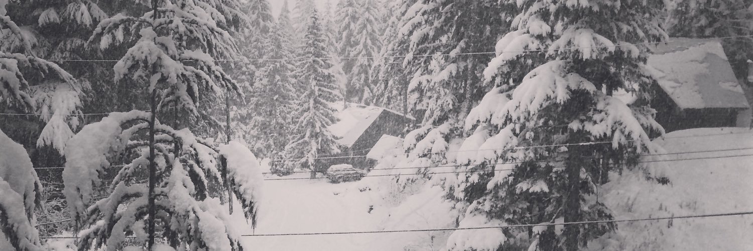 Brodie Jackson banner