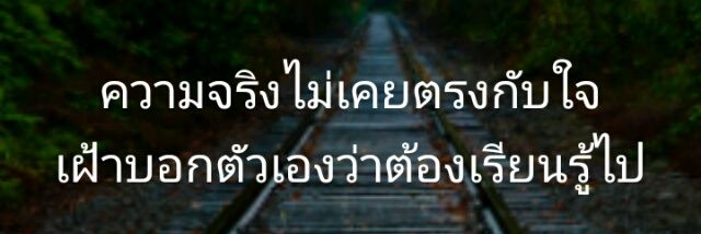 thaihotson's profile banner image