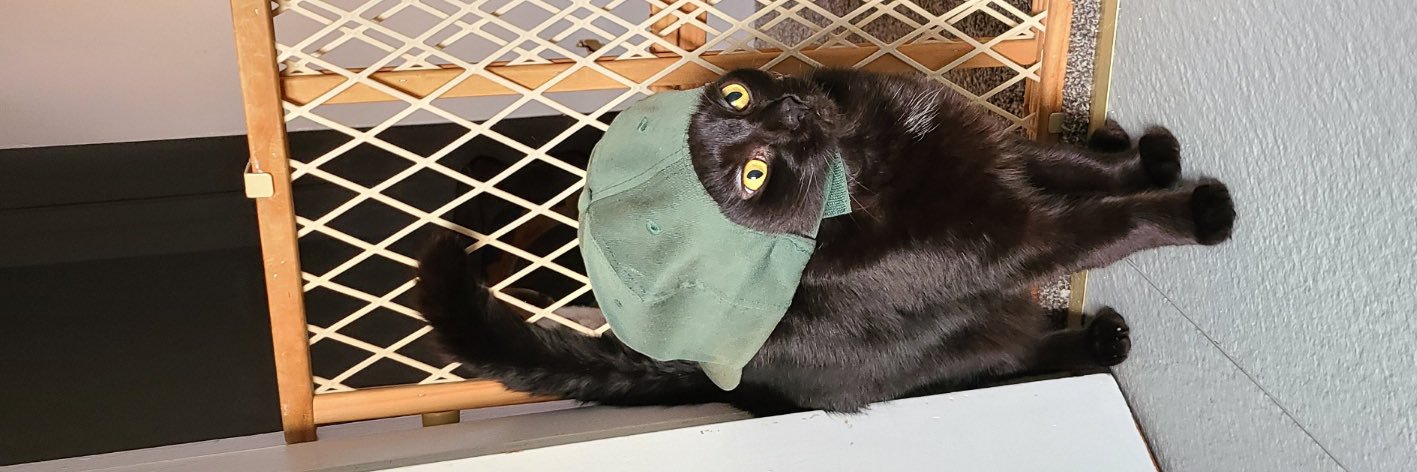 Sushi Neko Mana banner