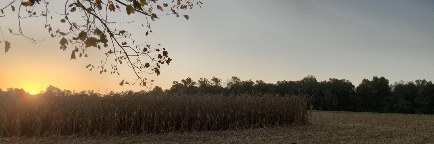 deerhub's profile banner image