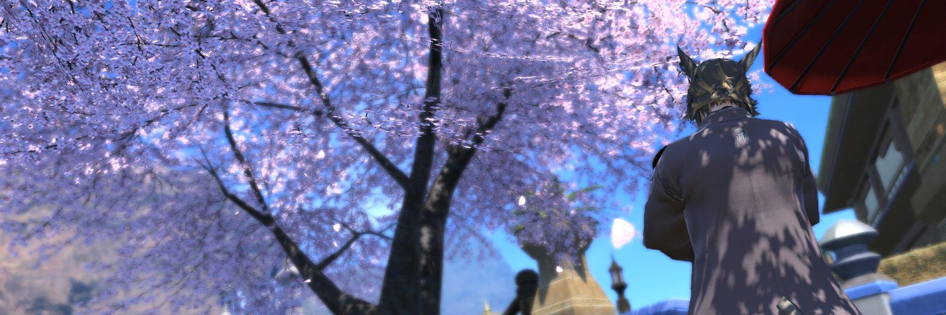screwoflight's profile banner image
