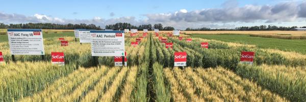 SeCanTodd Profile Banner