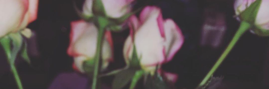 shylajohnson26's profile banner image