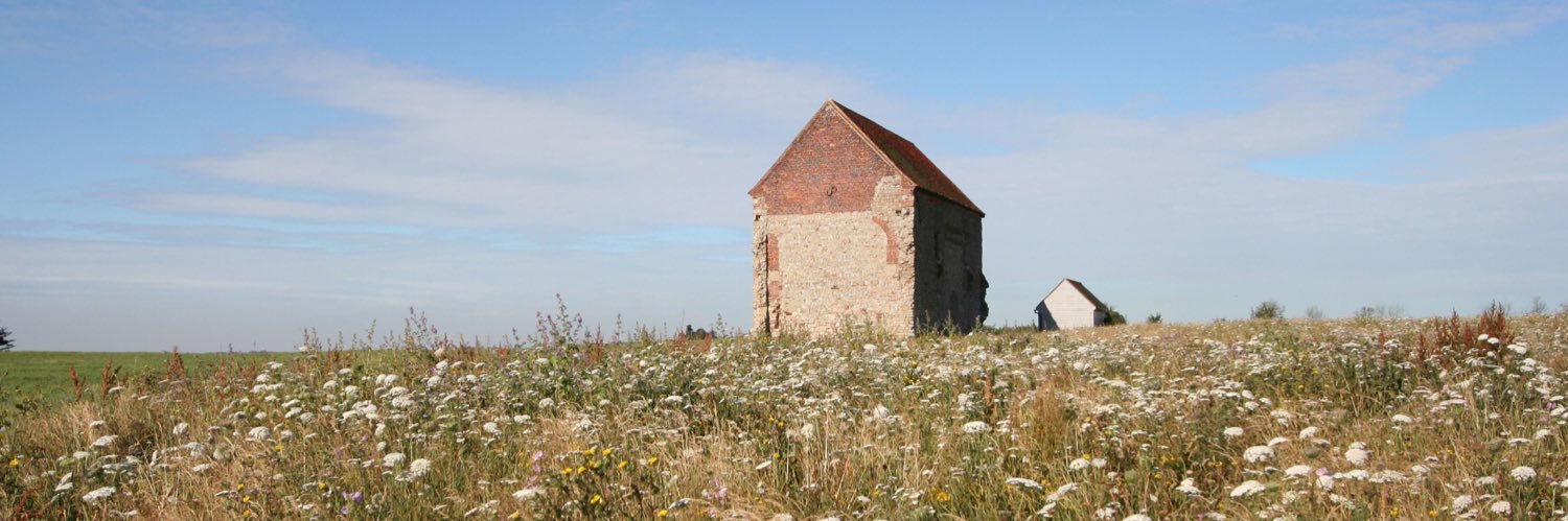 Sally Bossingham banner