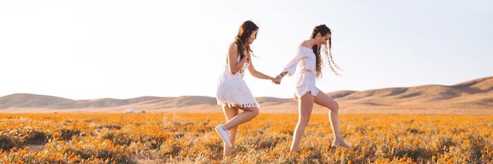 maia_chloe's profile banner image