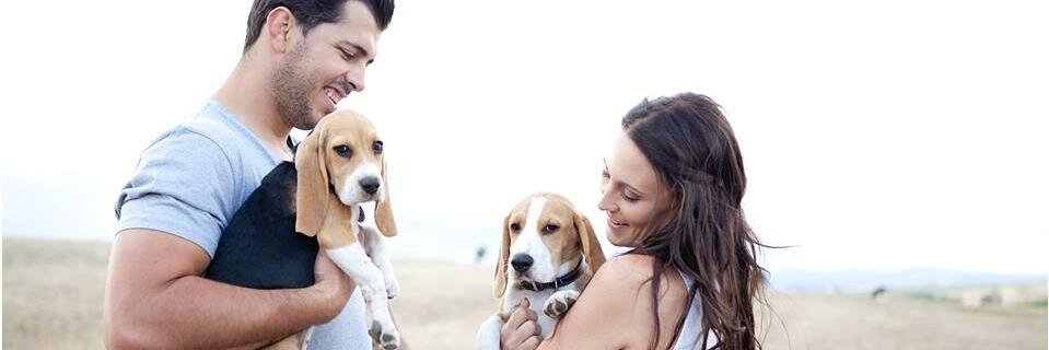 ElnaCoetzee's profile banner image
