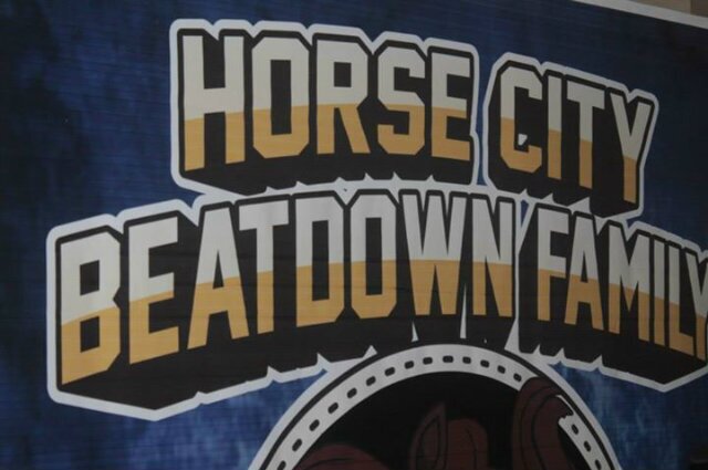 HORSECITYBIGFAMILY banner