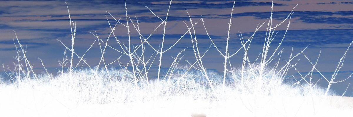 yedlf's profile banner image