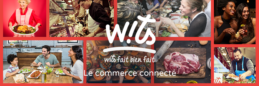 myWITS banner