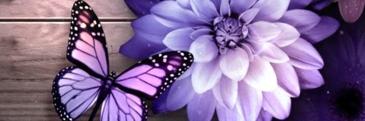 MiminPink1's profile banner image