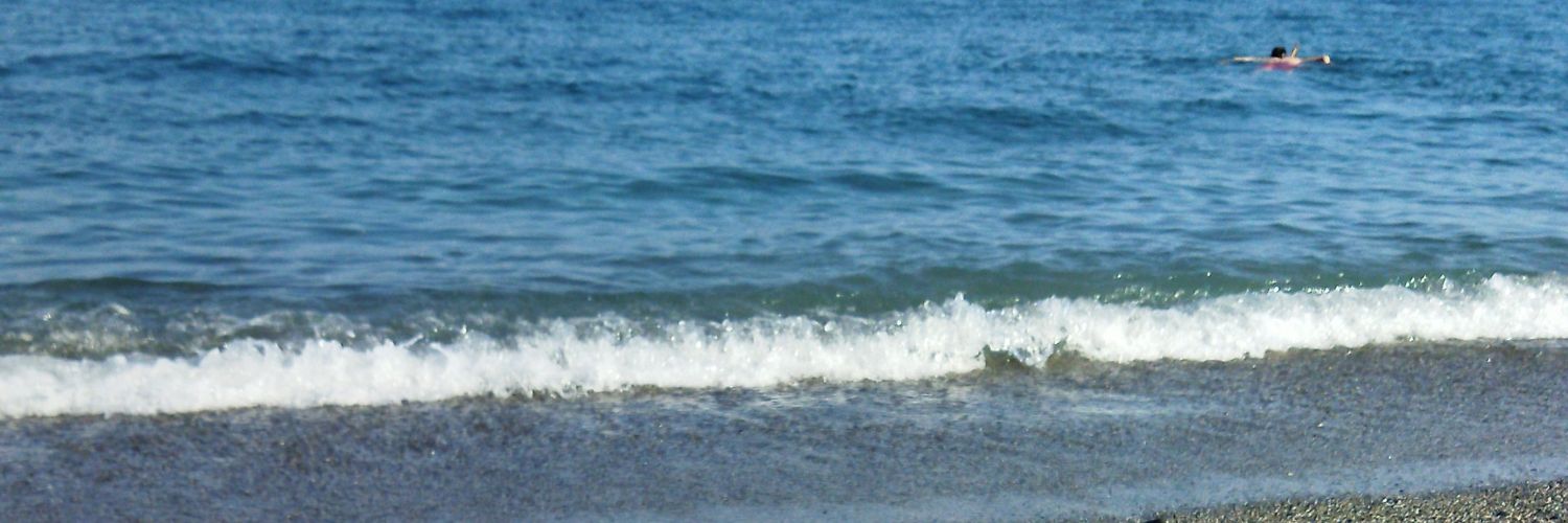 Patty61485646's profile banner image