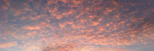 DanHikuroa Profile Banner