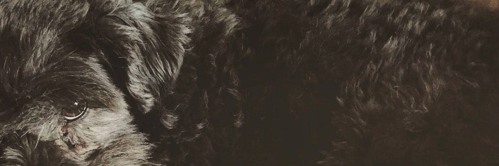 ClaudiiaNavas's profile banner image