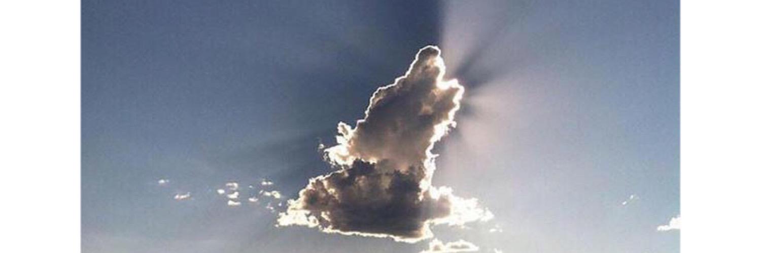 officialMazon's profile banner image