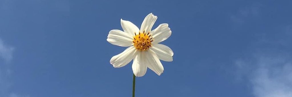 135_bobo's profile banner image