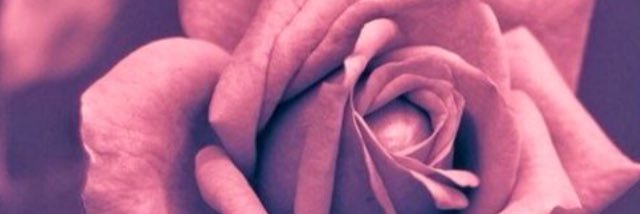 Sammyjayne86's profile banner image
