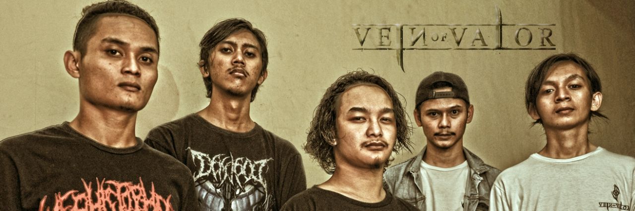VeinofValor's profile banner image