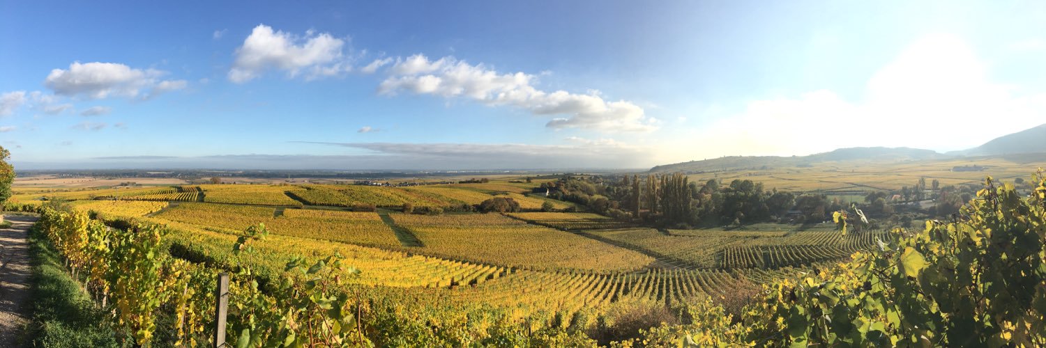 Bastopol68's profile banner image