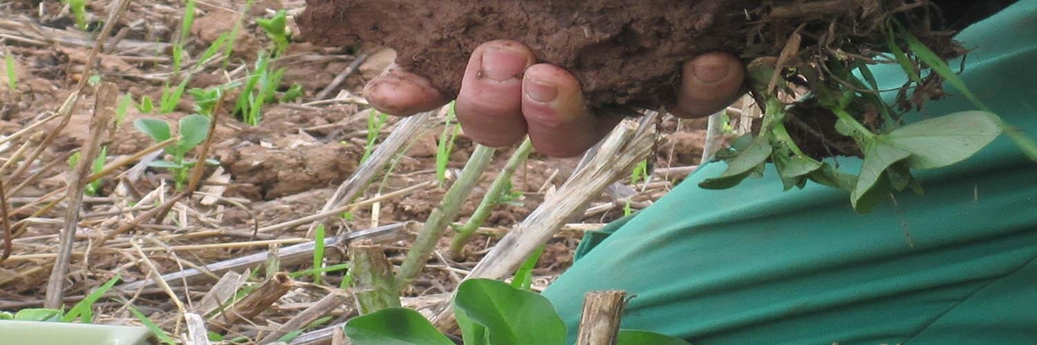 Soil Carbon Research banner