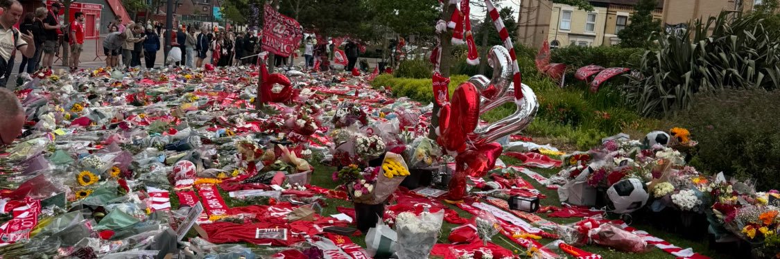 Jamie Carragher's banner