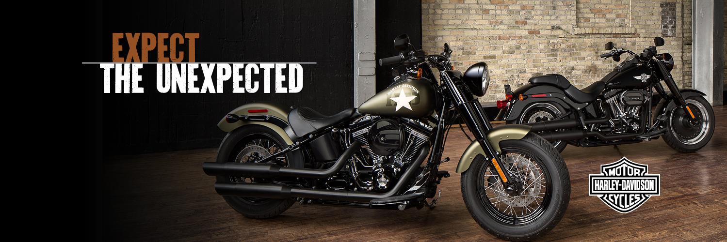 CA Harley-Davidson banner