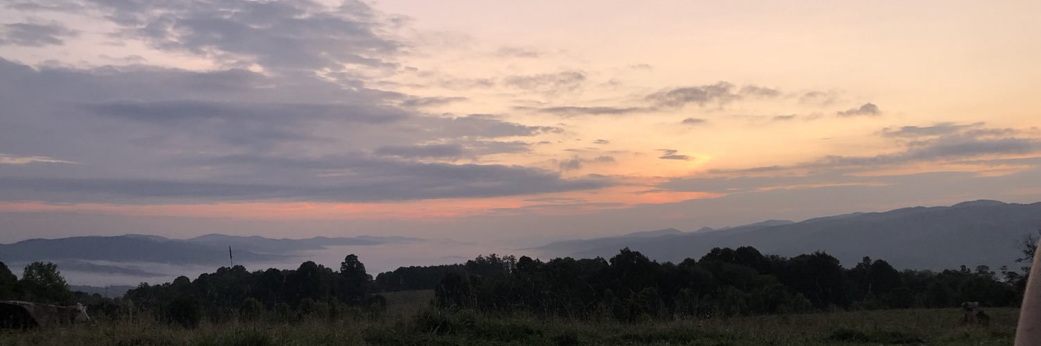 mrtrre2's profile banner image