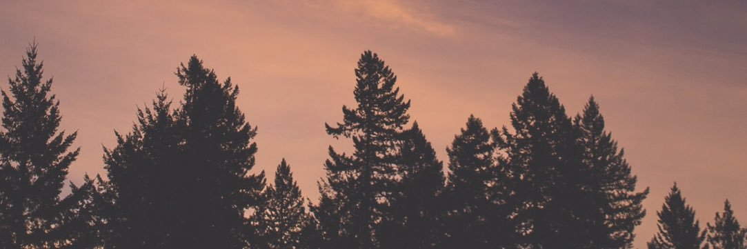 Davis_Rhodes's profile banner image