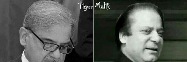 athar11malik's profile banner image