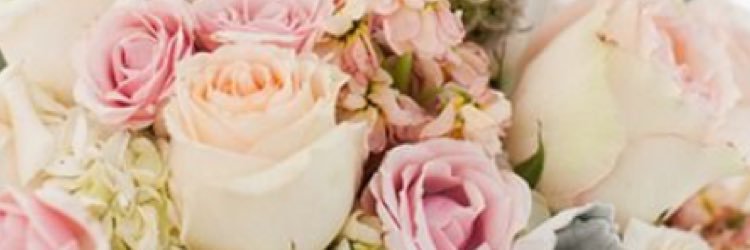 KelseyFoss's profile banner image