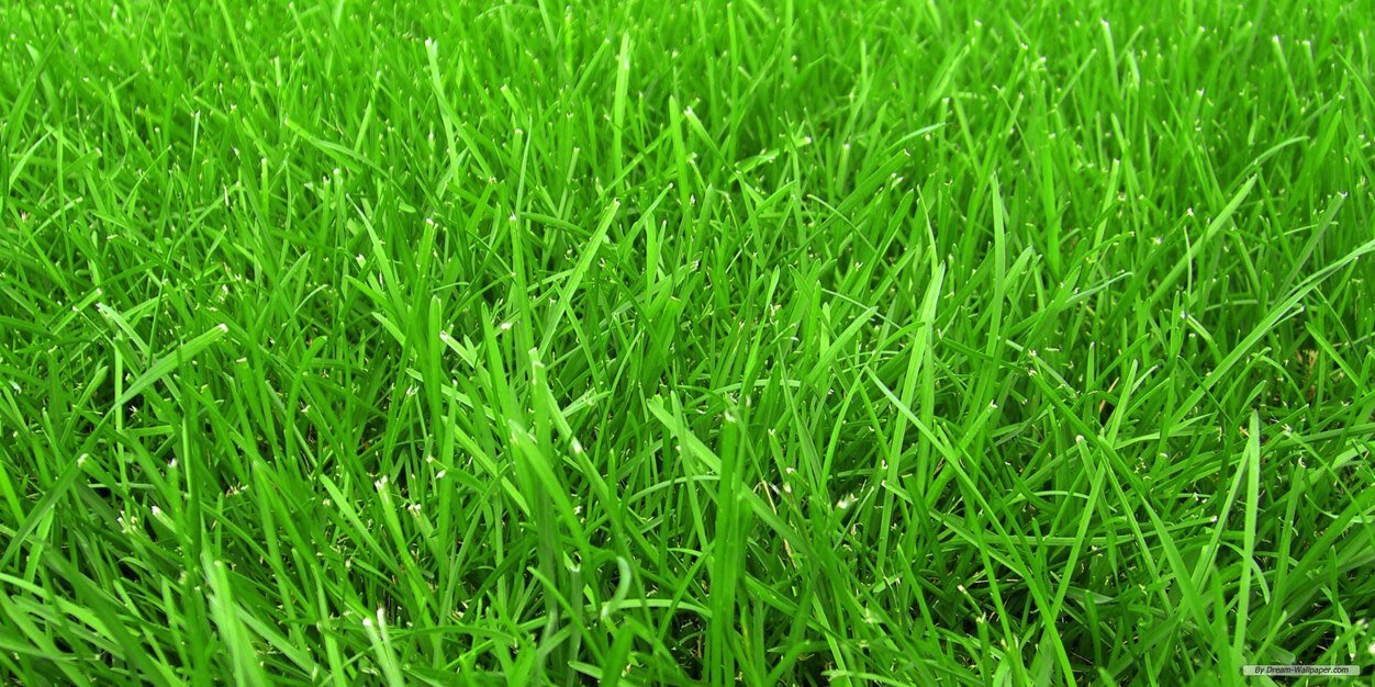 AgBarti's profile banner image