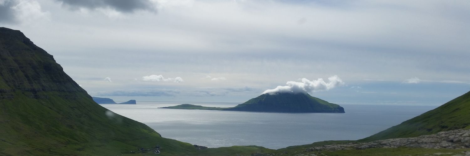 Andrei Melnikov banner