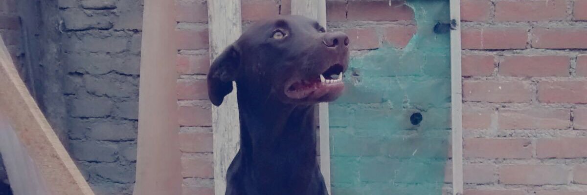 ikevintec's profile banner image