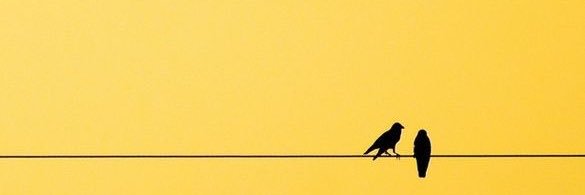 _kristaco's profile banner image