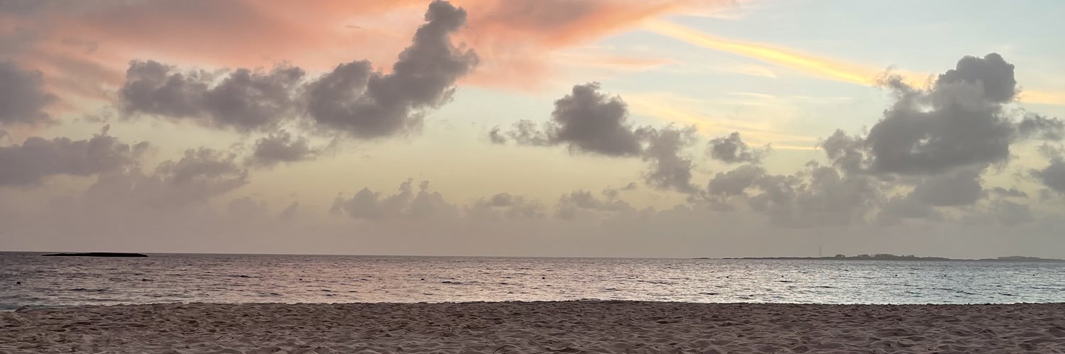 isabelgonzaba's profile banner image