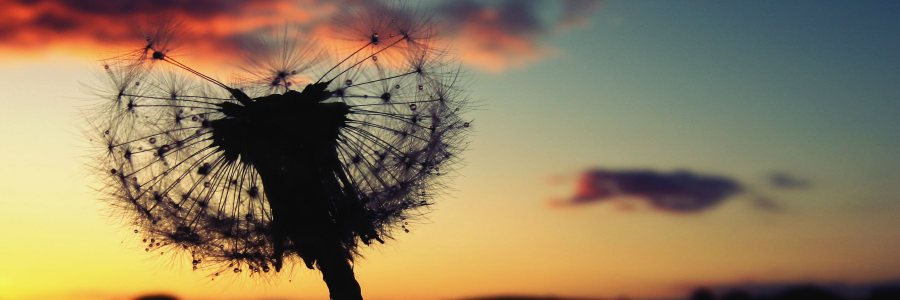 AmyMarieIsME's profile banner image