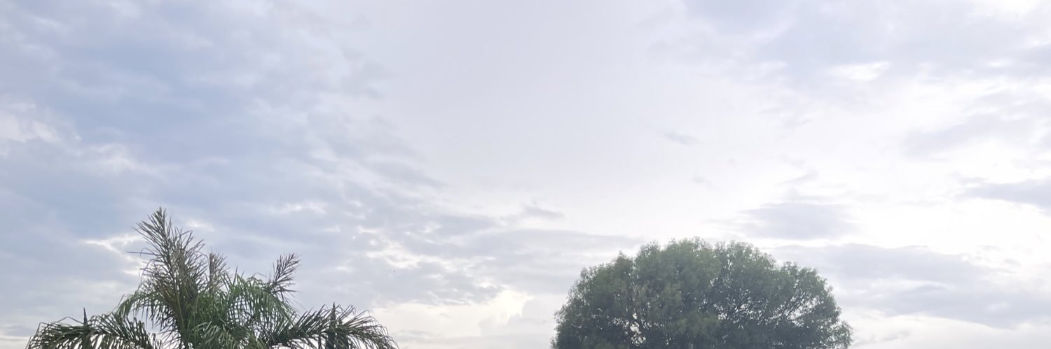 elena_zs's profile banner image