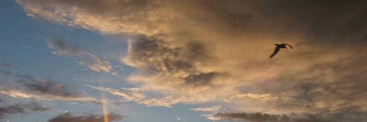 Stormchased's profile banner image