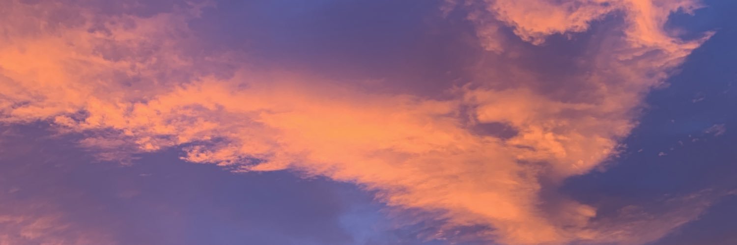 annapotthoff's profile banner image