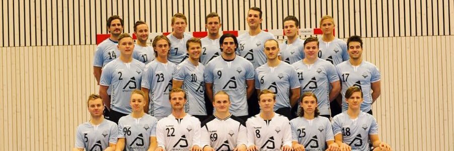 Sandnes HK Herrer banner