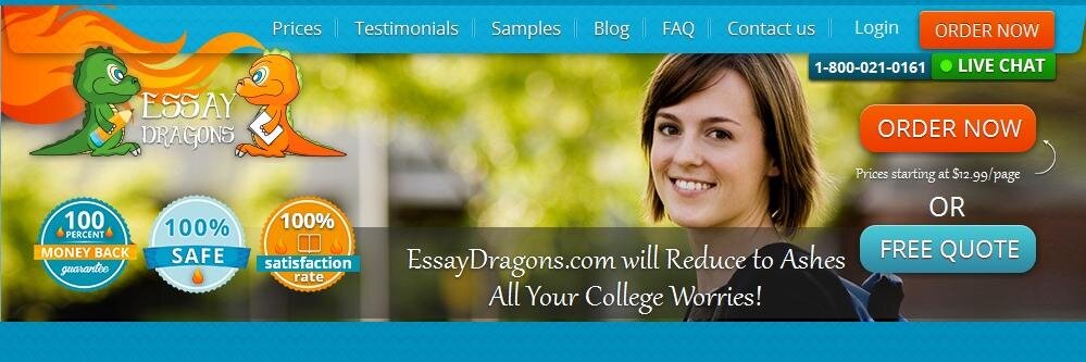EssayDragons's profile banner image