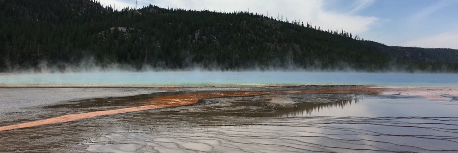 LindseyHolgate's profile banner image