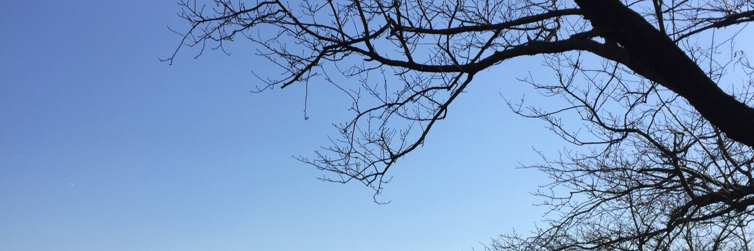 Renze_RF's profile banner image