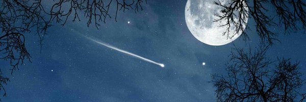 lainey956 Profile Banner