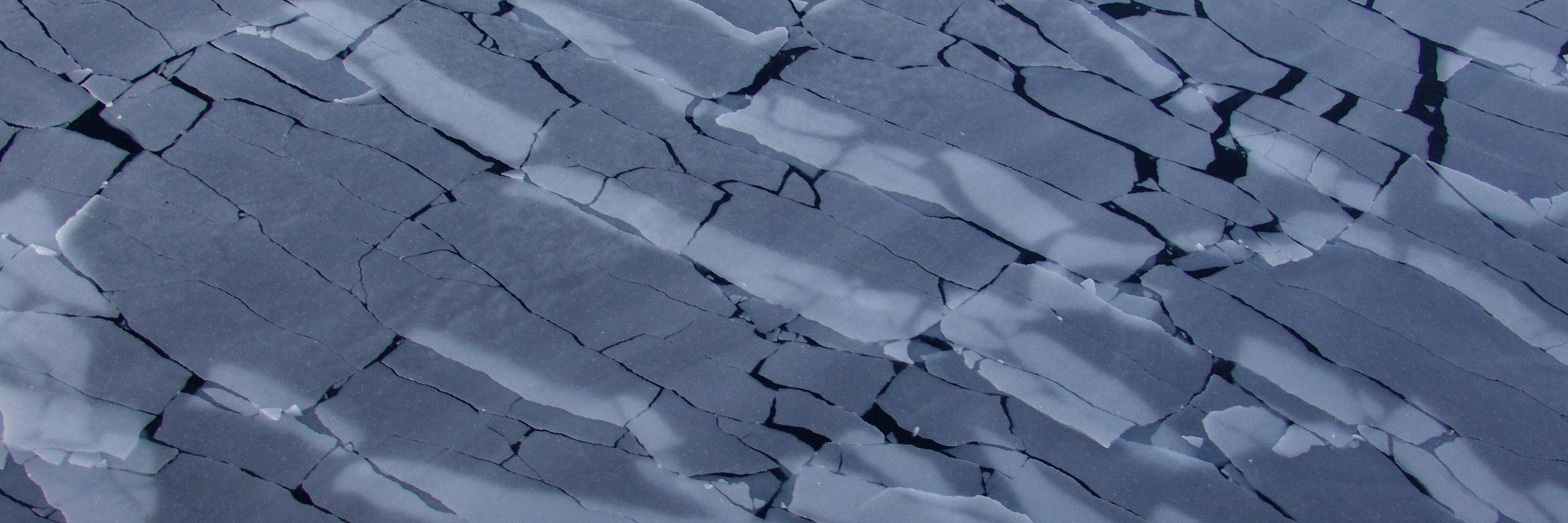 IceLawProject's profile banner image